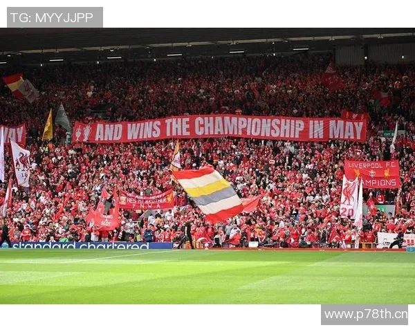 英超各球队主场容量：影响比赛与球迷体验的因素